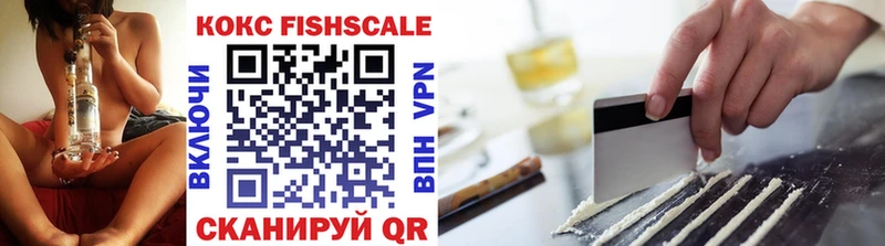 MEGA как зайти  продажа наркотиков  Чита  Кокаин Fish Scale 