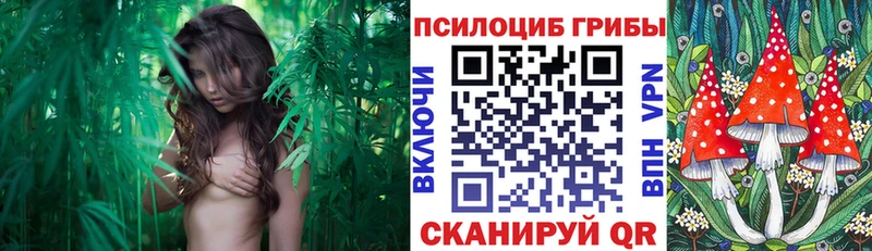 Псилоцибиновые грибы прущие грибы darknet официальный сайт Чита