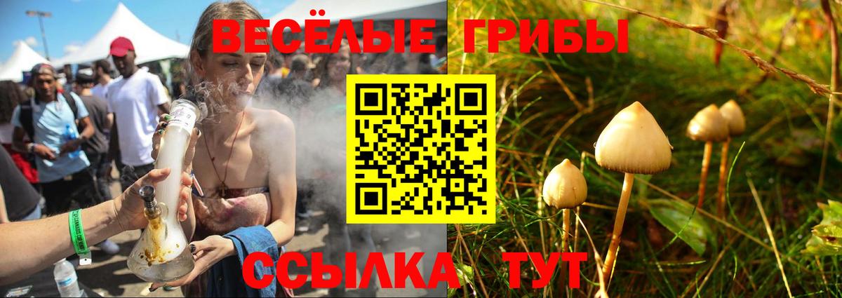 Галлюциногенные грибы Magic Shrooms Чита