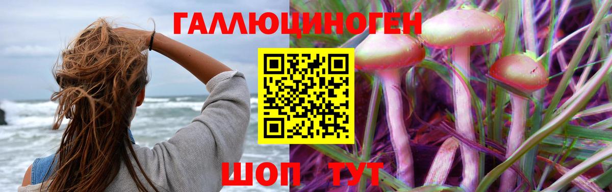 Псилоцибиновые грибы Cubensis  Чита 