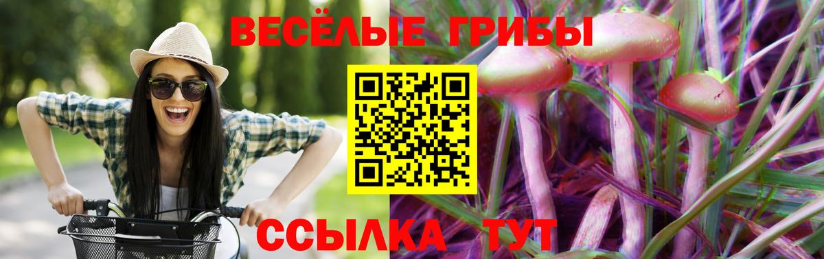 цена   Псилоцибиновые грибы прущие грибы  Вход с VPN  Чита 