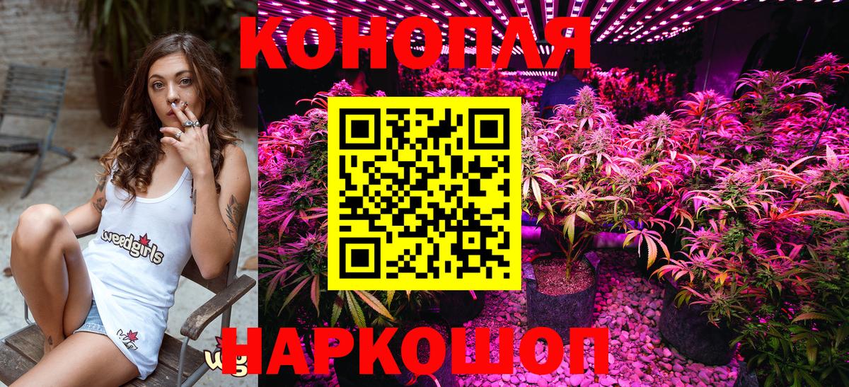 Каннабис планчик Чита